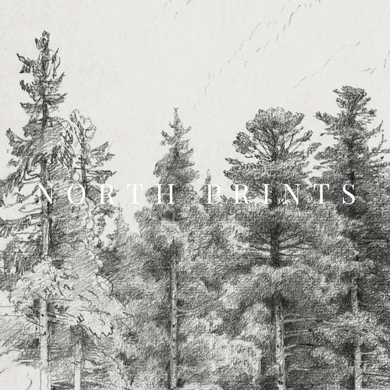 Samsung Frame TV Art | Vintage Neutral Pine Tree Sketch DIGITAL Art #TV146 | Etsy (US)