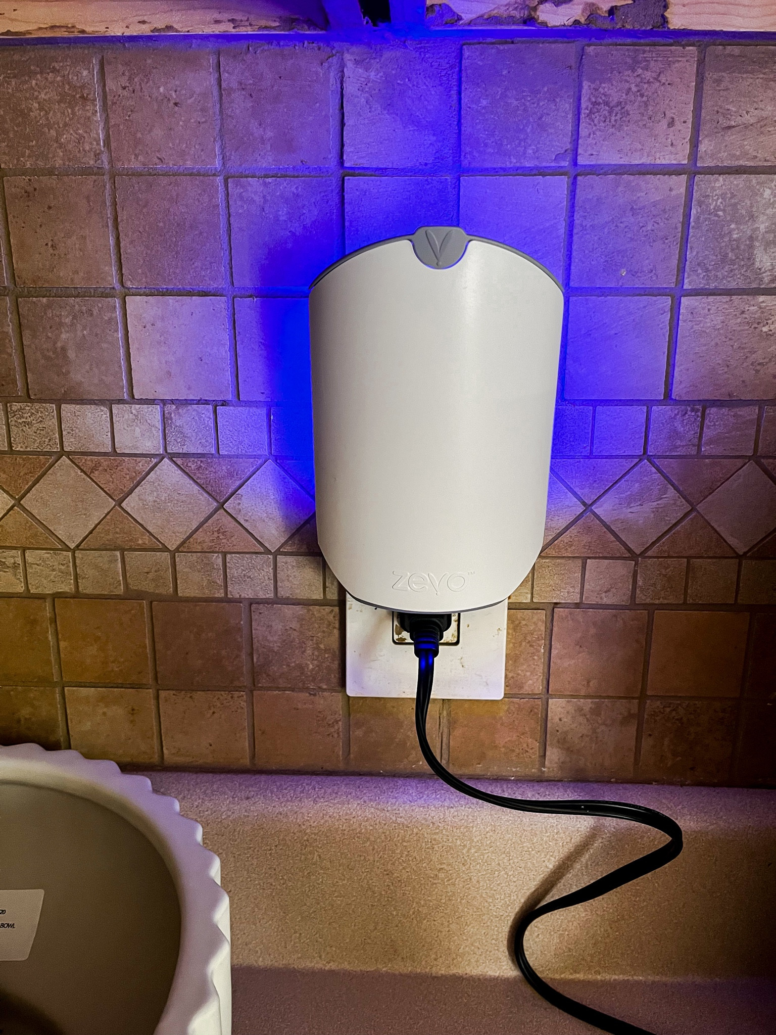 Indoor bug catcher

#LTKFindsUnder100 #LTKFindsUnder50 #LTKHome