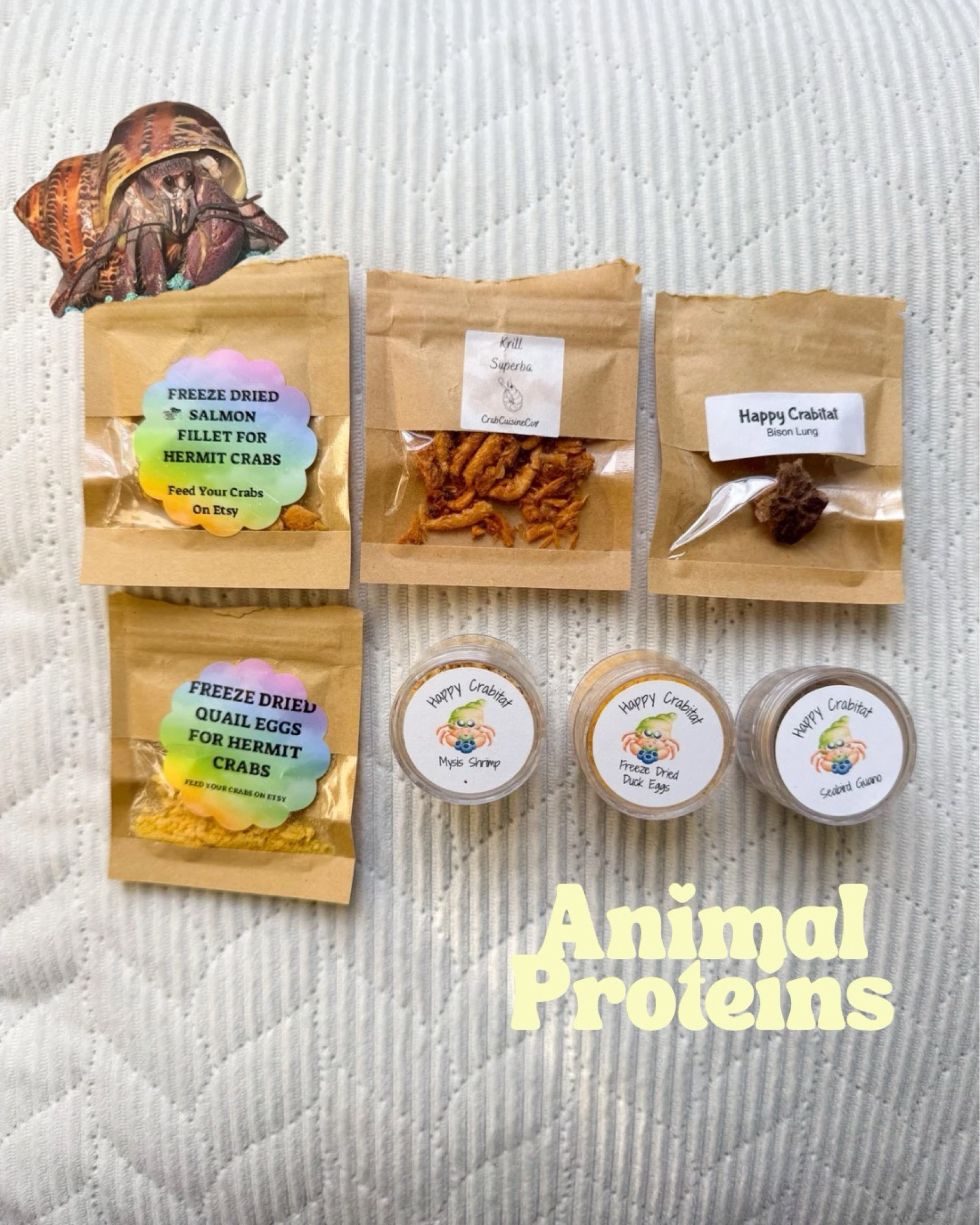 Animal proteins for hermit crabs 