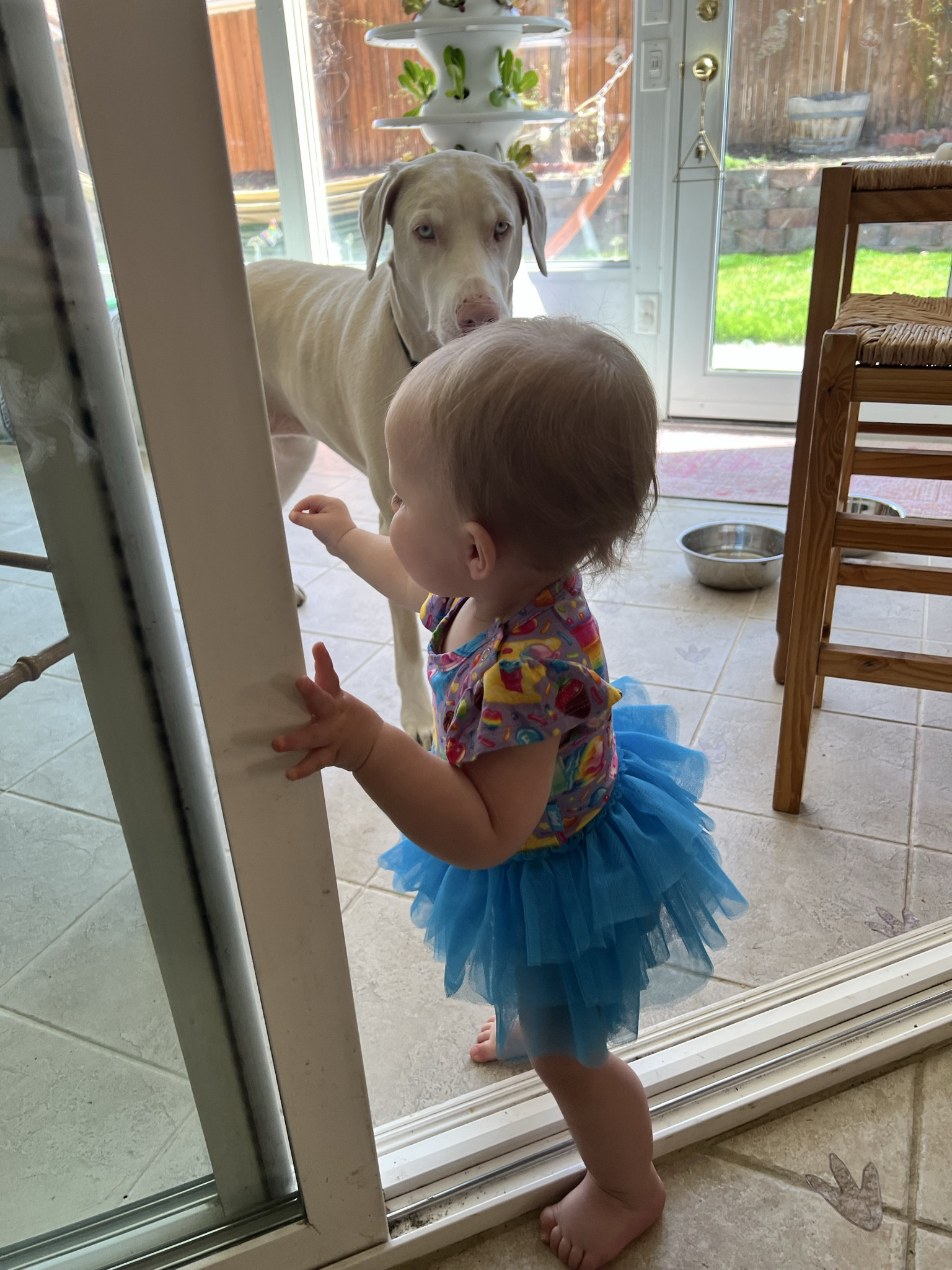 !!!! The Lisa Frank tutu onesie is almost sold out!!!! 

If you’ve been waiting to get one NOW is the time 🥲 Chloe has been wearing hers since she was six months old (she’s almost 13 months now). The fabric is super luxurious, soft, and stretchy! Definitely worth the price if you ask me ☺️☀️

#babygirl #girloutfits #tutu 

#LTKKids #LTKmomlife #LTKBaby