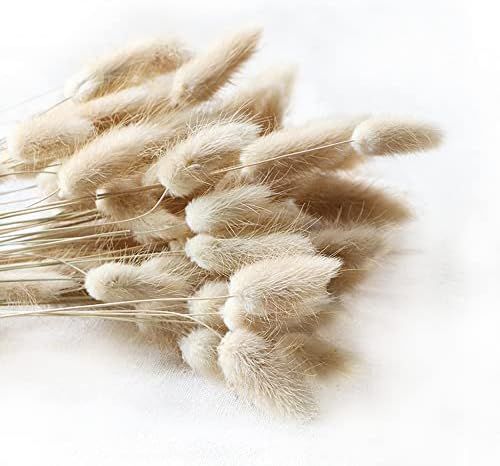 Amazon.com: Natural Dried Lagurus ovatus 100 Pcs, Boho Home Decor Bouquet, Dried Bunny Tails Pamp... | Amazon (US)