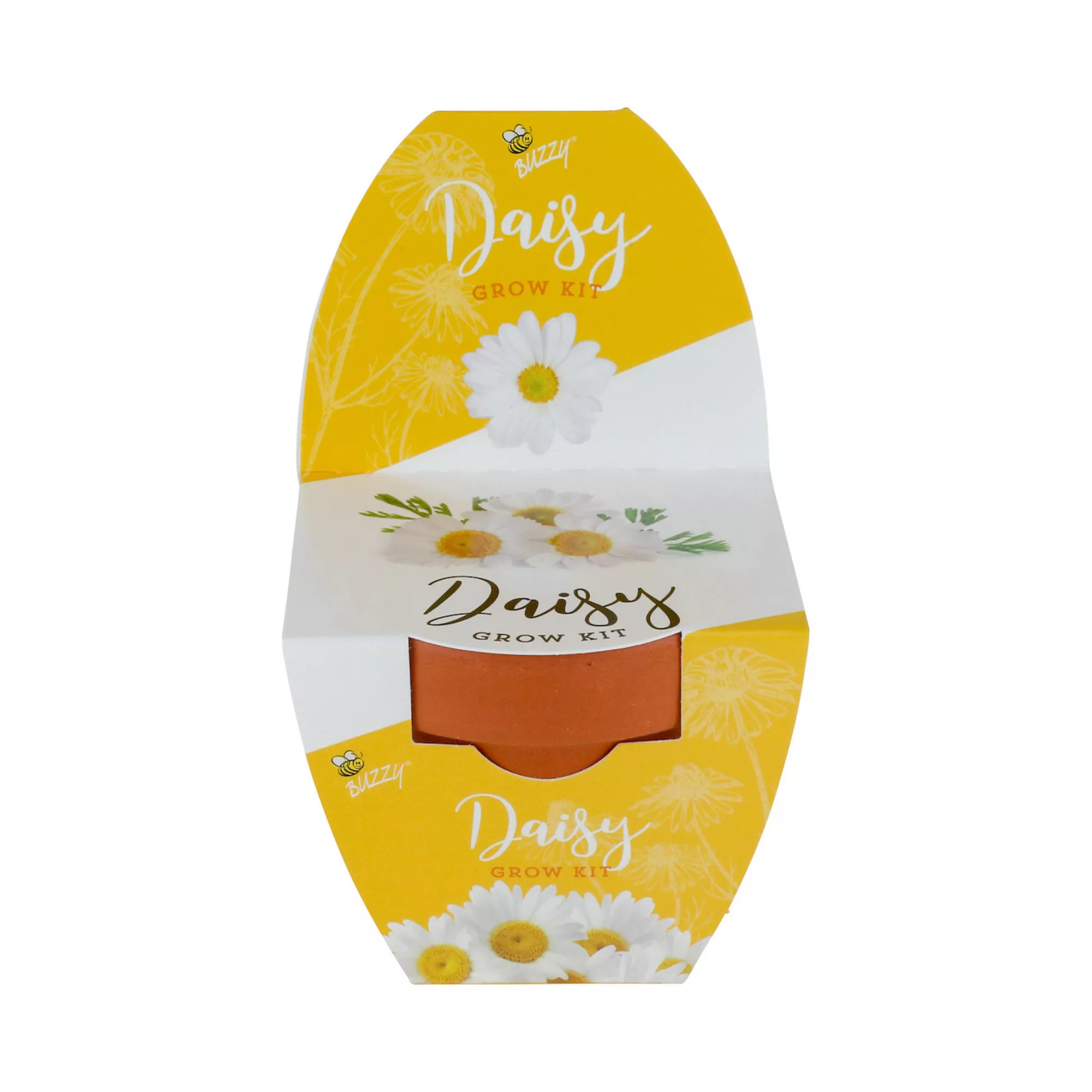 Buzzy Seeds 7Cm Terra Cotta Grow Kit-Daisy | Kohl's