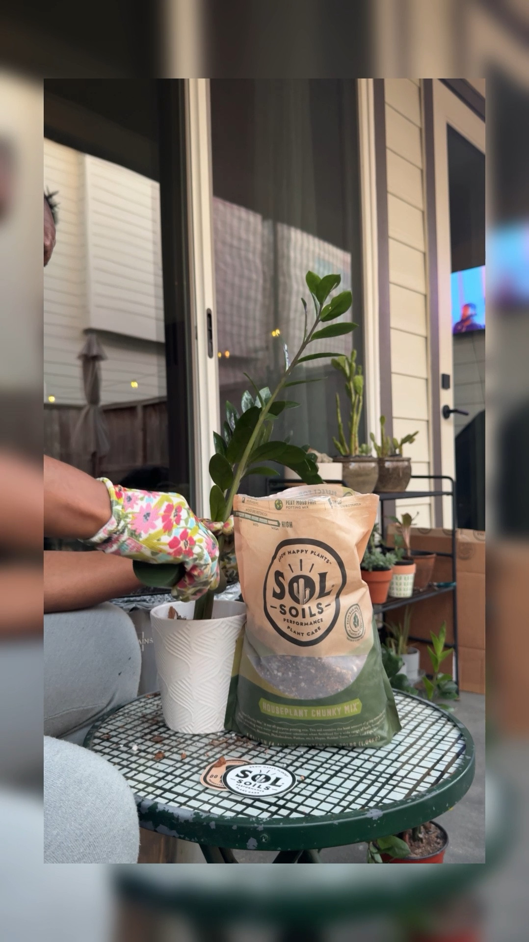 My Zzz plants couldn’t be happier than with this house plant mix from Sol Soils. Shop all products below and let me know if you try any of their products for your own plant babies. #plantmom #plantcare #plantsoil #solsoils

#LTKHome #LTKFindsUnder50 #LTKFamily