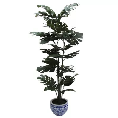 W Home 60-Inch Split Philo Tree in Round Blue/White Ceramic Pot | Bed Bath & Beyond | Bed Bath & Beyond