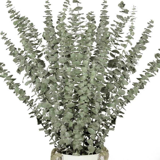 16 Pcs Dried Eucalyptus Plant Stems for Shower, 17" Real Eucalyptus Branches, 100% Natural Eucaly... | Amazon (US)
