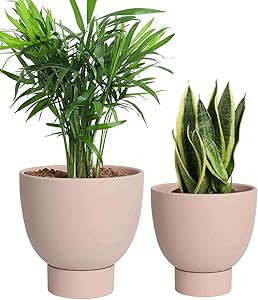 Pink Terracotta Self Watering Plant Pot - 2 PCS 6 Inch & 8 Inch Terra Cotta Plant Pot with Draina... | Amazon (US)