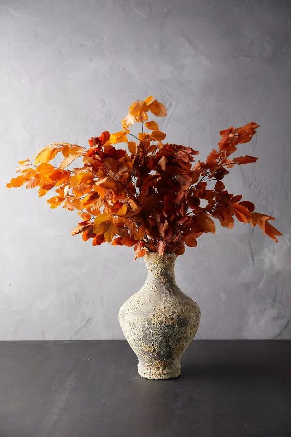 Fall Flowers  Live Copper Beech  Perfect Autumn Decor | Etsy | Etsy (US)