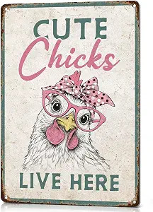 SmartCows Funny Chicken Signs for Coop Kitchen Wall Decor Chicken Lady Gift | Amazon (US)