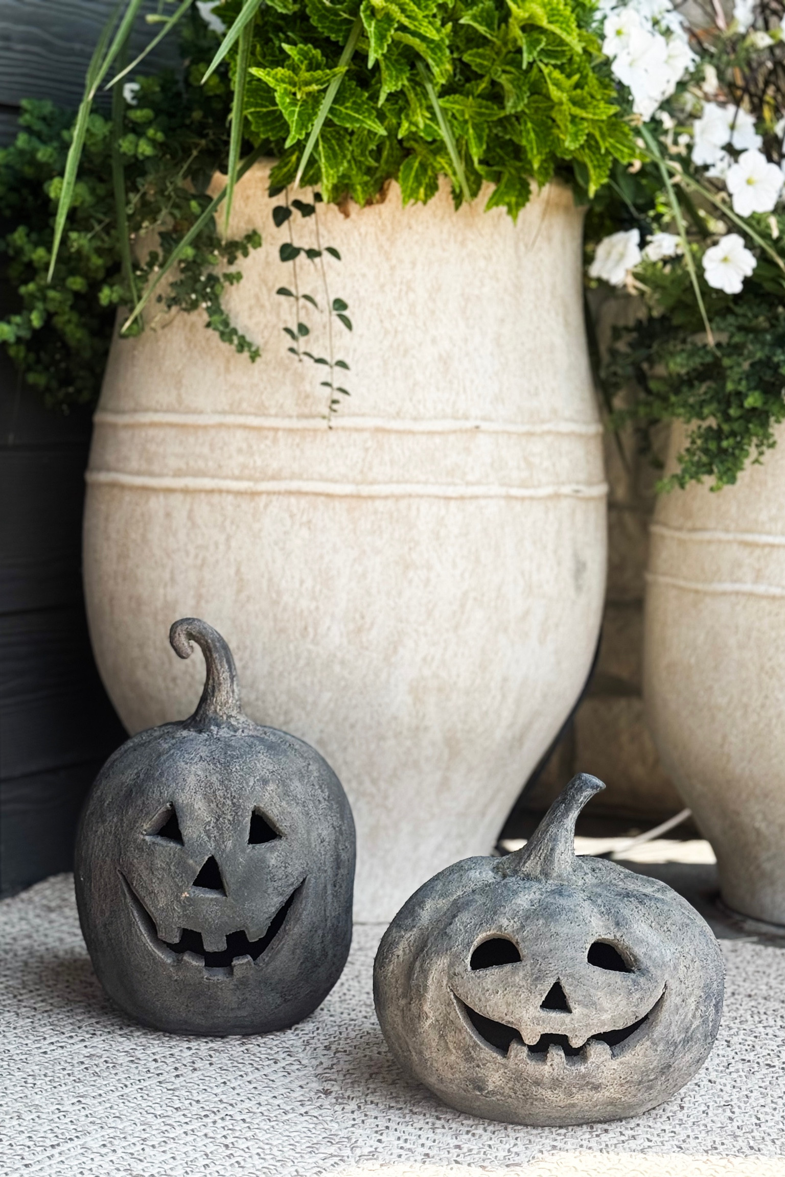 These little guys are perfect for your fall front porch! 

Home  home decor  fall home  fall home decor  seasonal decor  pumpkin  terracotta pumpkins  front porch  fall front porch  outdoor decor  ourpnwhome 

#LTKSeasonal #LTKfindsunder100 #LTKhome