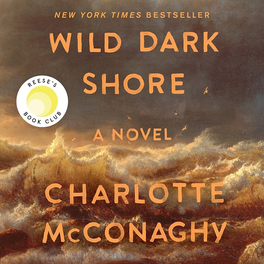 Wild Dark Shore: Reese's Book Club Pick (A Novel) | Amazon (US)