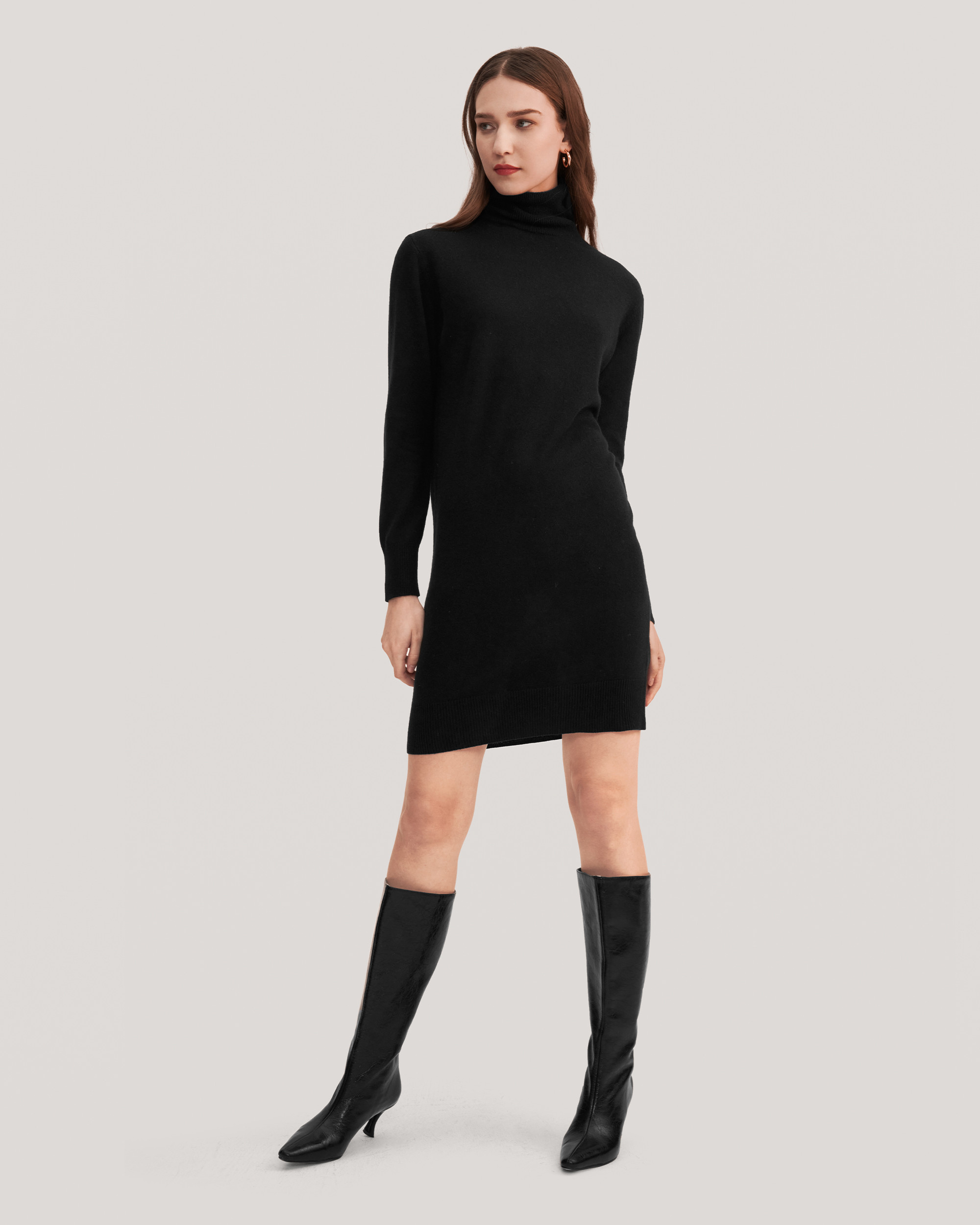 Classic Turtleneck Cashmere Dress | LilySilk