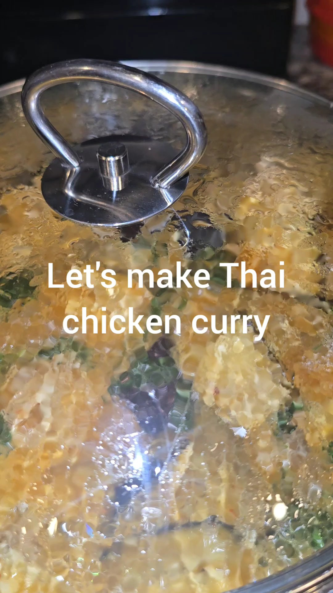 Thai Chicken Curry Night at Home 🍛✨Nothing beats a warm bowl of homemade Thai chicken curry made with simple, clean ingredients. Rich coconut milk, fresh spices, tender chicken, and so much flavor in every bite.This is one of those meals the whole family keeps coming back for!Cooking tools + ingredients I use are linked in my LTK & Amazon storefront.#ltkcreator #ltkfood #ltkhome #cleaningredientcooking #homecookedmeals #thaicurry #chickencurry #familymeals #momlife #cookwithme #foodreels #easyrecipes #dinnerideas #healthiercooking #kitchenfavorites

#LTKdayinmylife #LTKmomlife #LTKmorningroutine