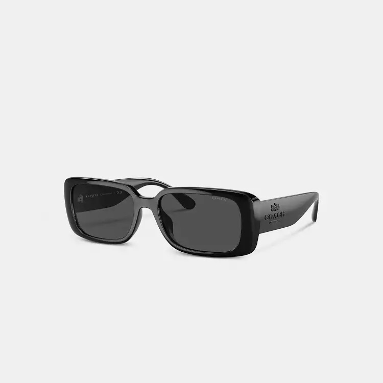 Narrow Rectangle Sunglasses | Coach (US)