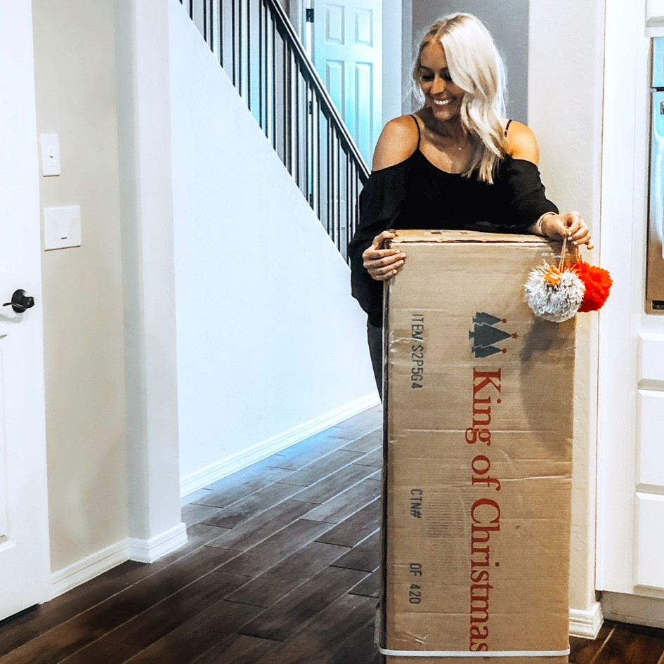 King of Christmas FAVS! ✨

#LTKFallSale #LTKHome #LTKSeasonal