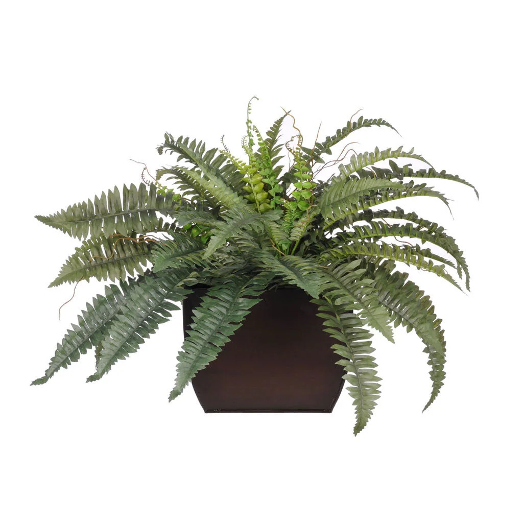 Faux Fern in Large Gloss Brown Zinc Planter | Bed Bath & Beyond