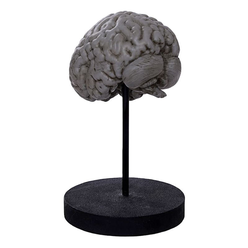 Halloween Brain Table Decor, 7" | At Home