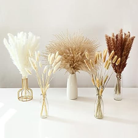 160 Pcs Nature Pampas Grass Decor 18 Inch Pampas Grass Contains White Brown Pampas Bunny Tails Dr... | Amazon (US)