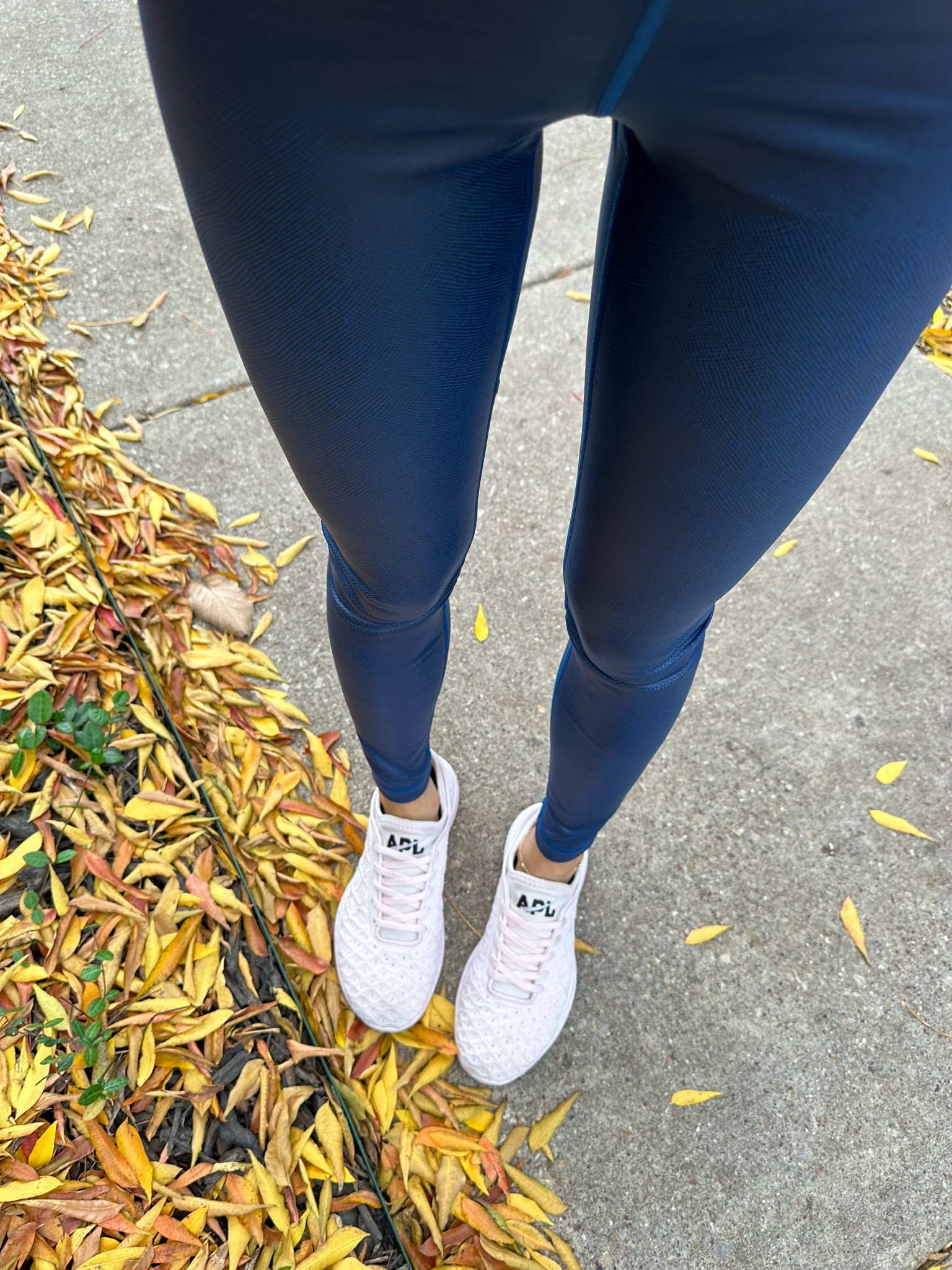 Found  my all sneakers on sale size 7.5

#LTKshoecrush #LTKsalealert #LTKunder100