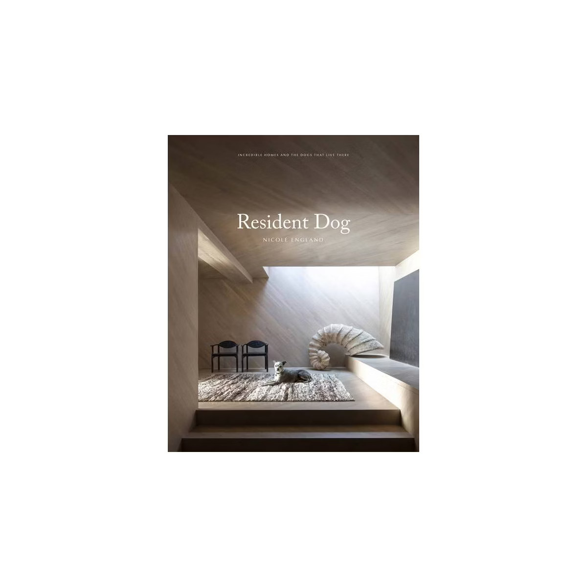 Resident Dog (Volume Two) - by  Nicole England (Hardcover) | Target