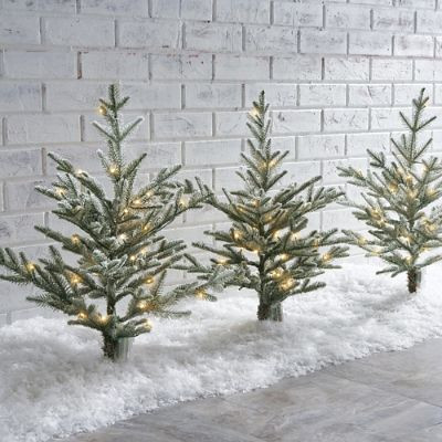 2 ft. Flocked Fraser Pathway Trees, Set of Three | Frontgate