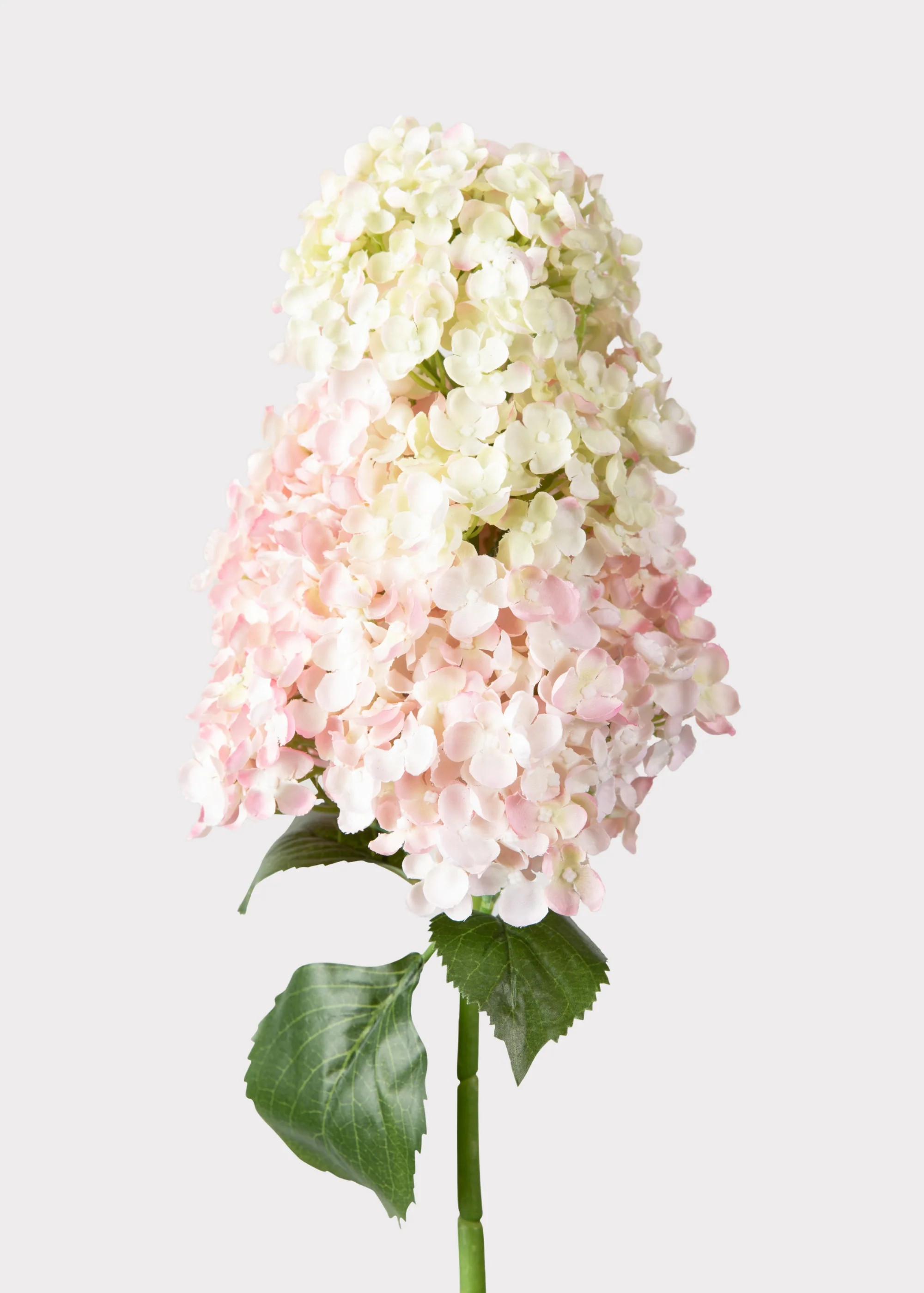 Pink Cream Cone Hydrangea | Best Artificial Flowers | Afloral | Afloral
