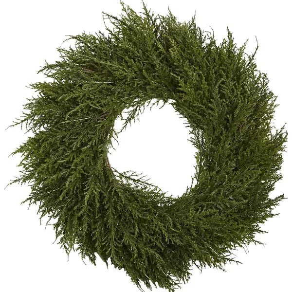 Cedar Wreath | Wayfair North America