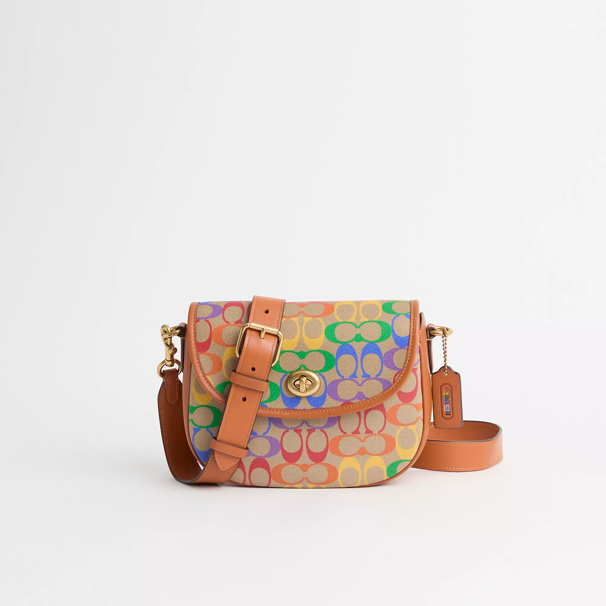 Restored Willow Saddle Bag In Rainbow Signature Canvas | Coach (US)