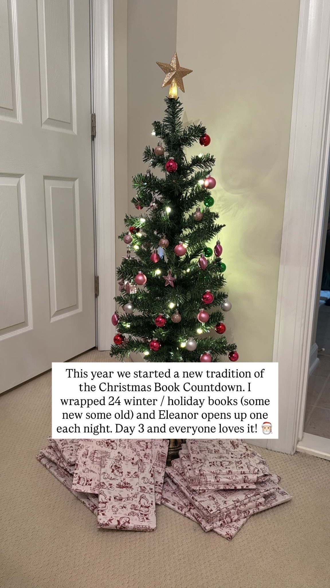 This year we started a new tradition of the Christmas Book Countdown. I wrapped 24 winter / holiday books (some new some old) and Eleanor opens up one each night. 

#LTKHoliday #LTKKids #LTKstorytime