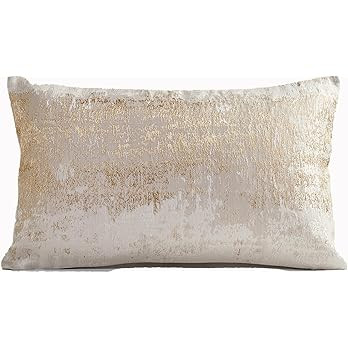 THE-TINOART Light Beige White Throw Pillow Covers Back Soft Velvet Cushion Case Luxury Modern Lum... | Amazon (US)