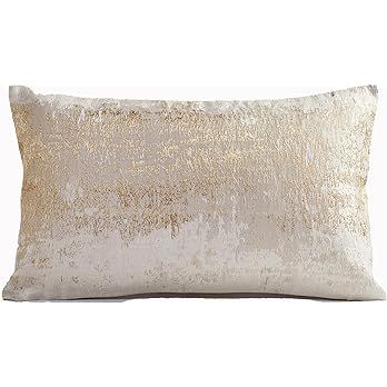 THE-TINOART Light Beige White Throw Pillow Covers Back Soft Velvet Cushion Case Luxury Modern Lum... | Amazon (US)