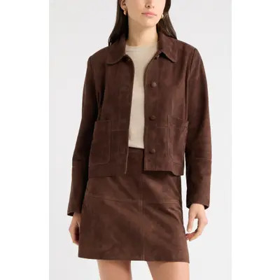 caslon(r) Suede Leather Jacket in Brown Chicory at Nordstrom, Size Xx-Small | Nordstrom