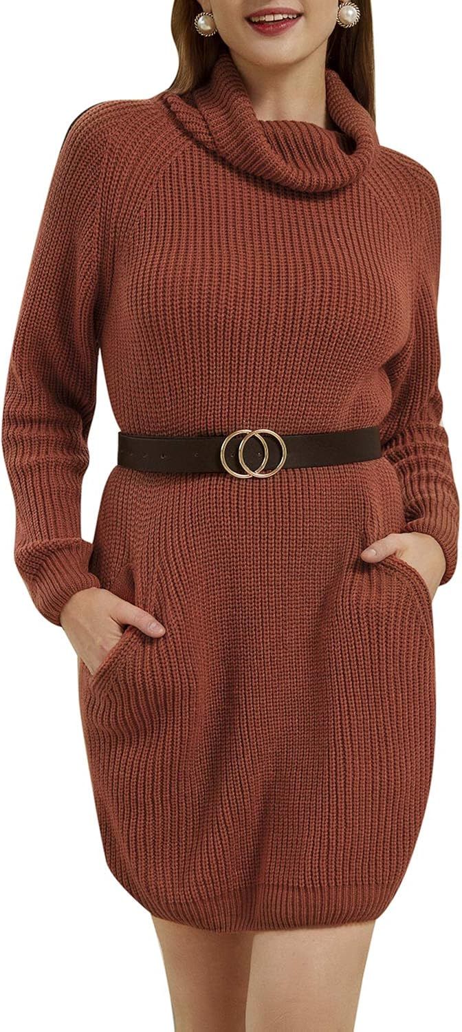 BerryGo Women's Loose Turtleneck Knit Long Pullover Sweater Dress | Amazon (US)