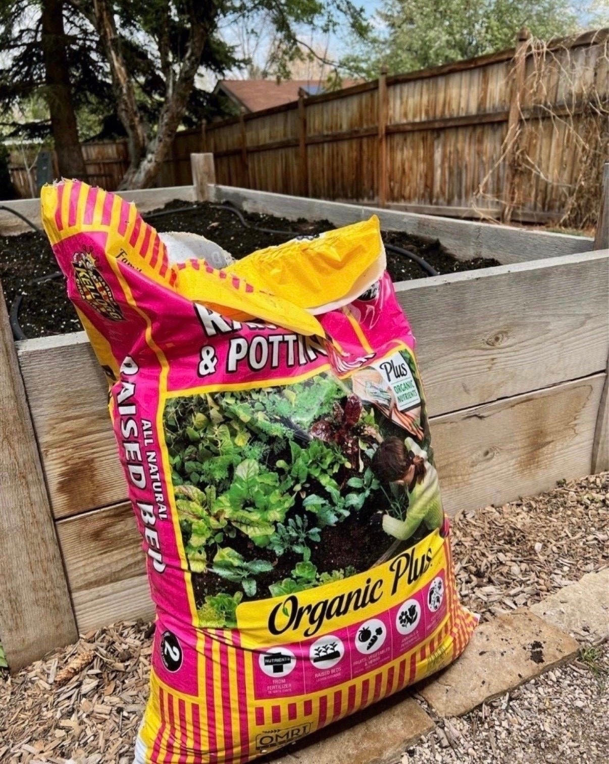 If there’s one thing I never regret spending a little extra time on, it’s the soil! Healthy plants start there. These are a few of the soil mixes I’ve used that I’d happily buy again when it’s time to fill beds and containers!

#LTKSeasonal #LTKHome #LTKSaleAlert