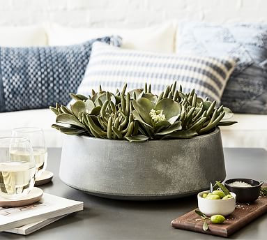 Composed Succulent Arrangement In Ceramic Planter | Pottery Barn (US)