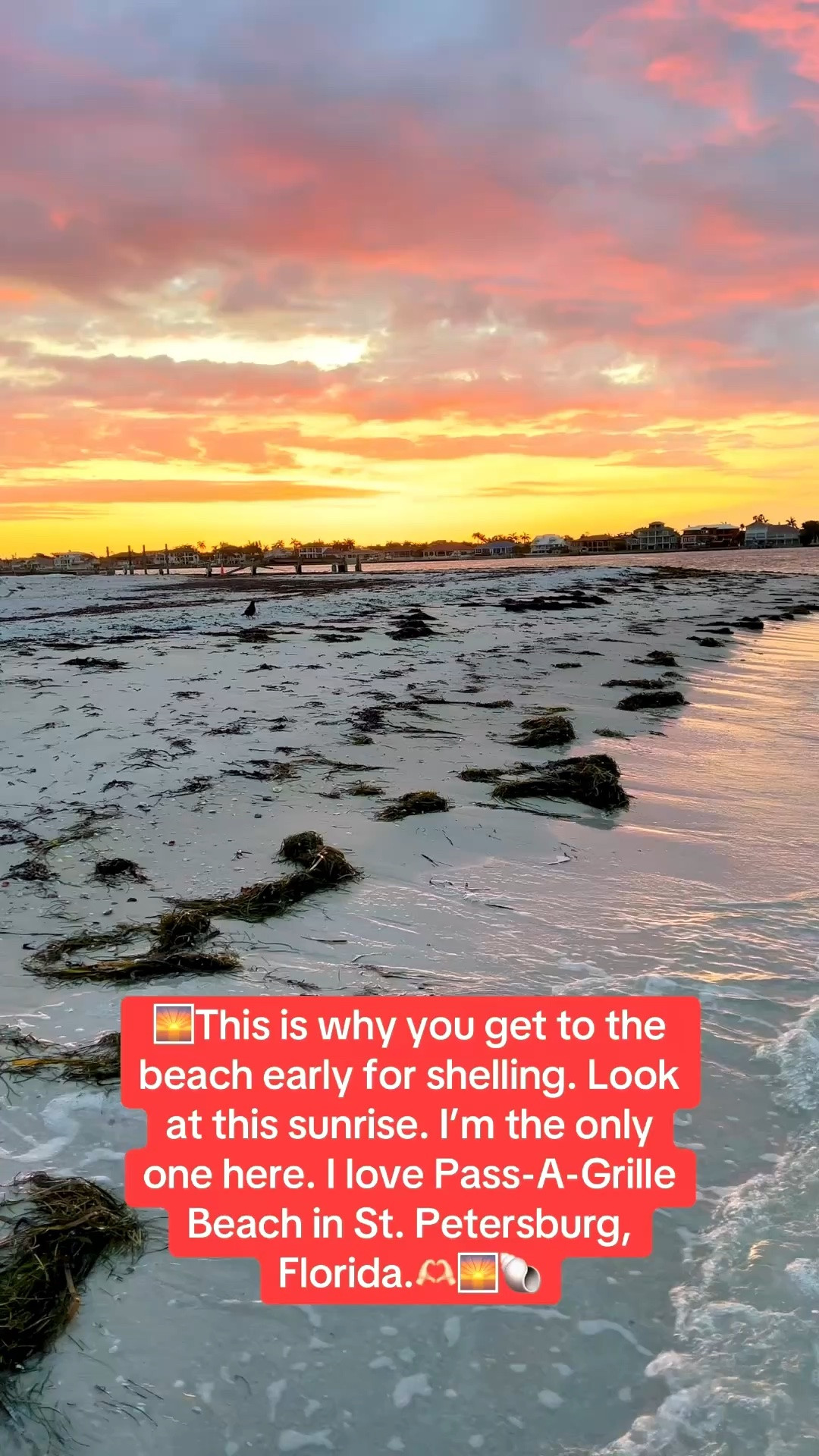 Pack these clothing pieces and accessories for your next tropical beach getaway!

#LTKSeasonal #LTKOver40 #LTKTravel #LTKgrwm #LTKootd #LTKMidsize #LTKSwim #LTKvlog