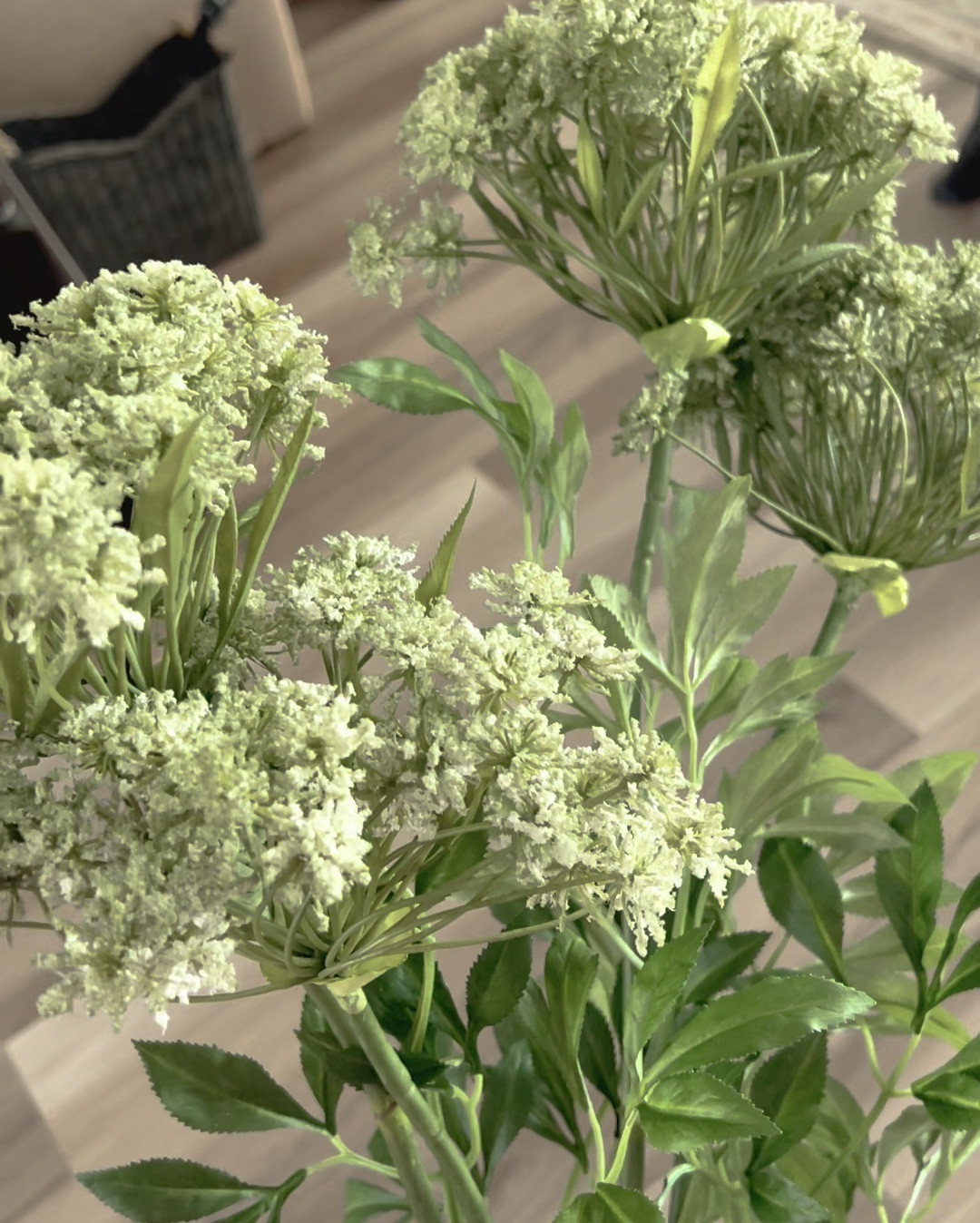 The Queen has arrived! These faux queen Anne’s are so gorgeous — I can’t wait to style them!

Spring Decor | Home Decor | Faux Florals | Spring Florals | Vase Styling 

#LTKSeasonal #LTKHome