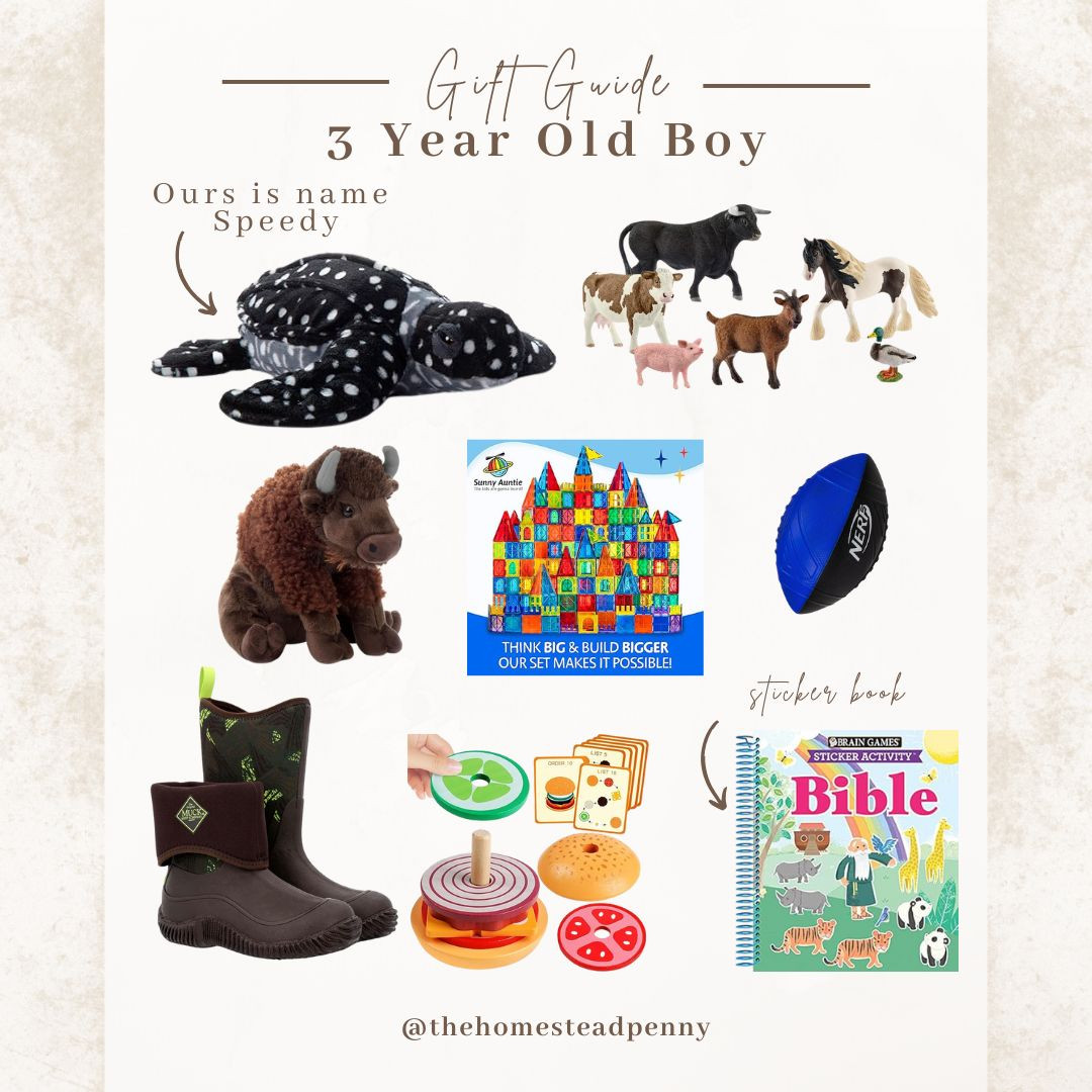 Boys gift guide for 3 year old boys. This would be perfect for Christmas or birthdays. I think every boy should have a pair of boots and a good stuffy. My boy loves animals, so that's primarily what this is focused on. 


Toddler gift ideas, Kids gift guide, Stuffed Animals, Farm animal figurines, Bible sticker book, Wooden Montessori Toys, Boots 

 #LTKGiftGuide #LTKKids #LTKFamily