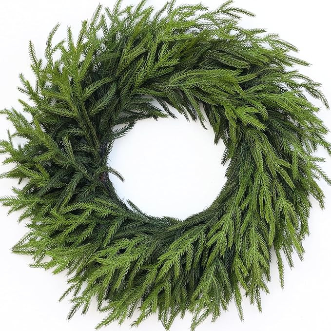24" Real Touch Norfolk Pine Wreath for Front Door, Artificial Christmas Wreaths Faux Pine Needles... | Amazon (US)
