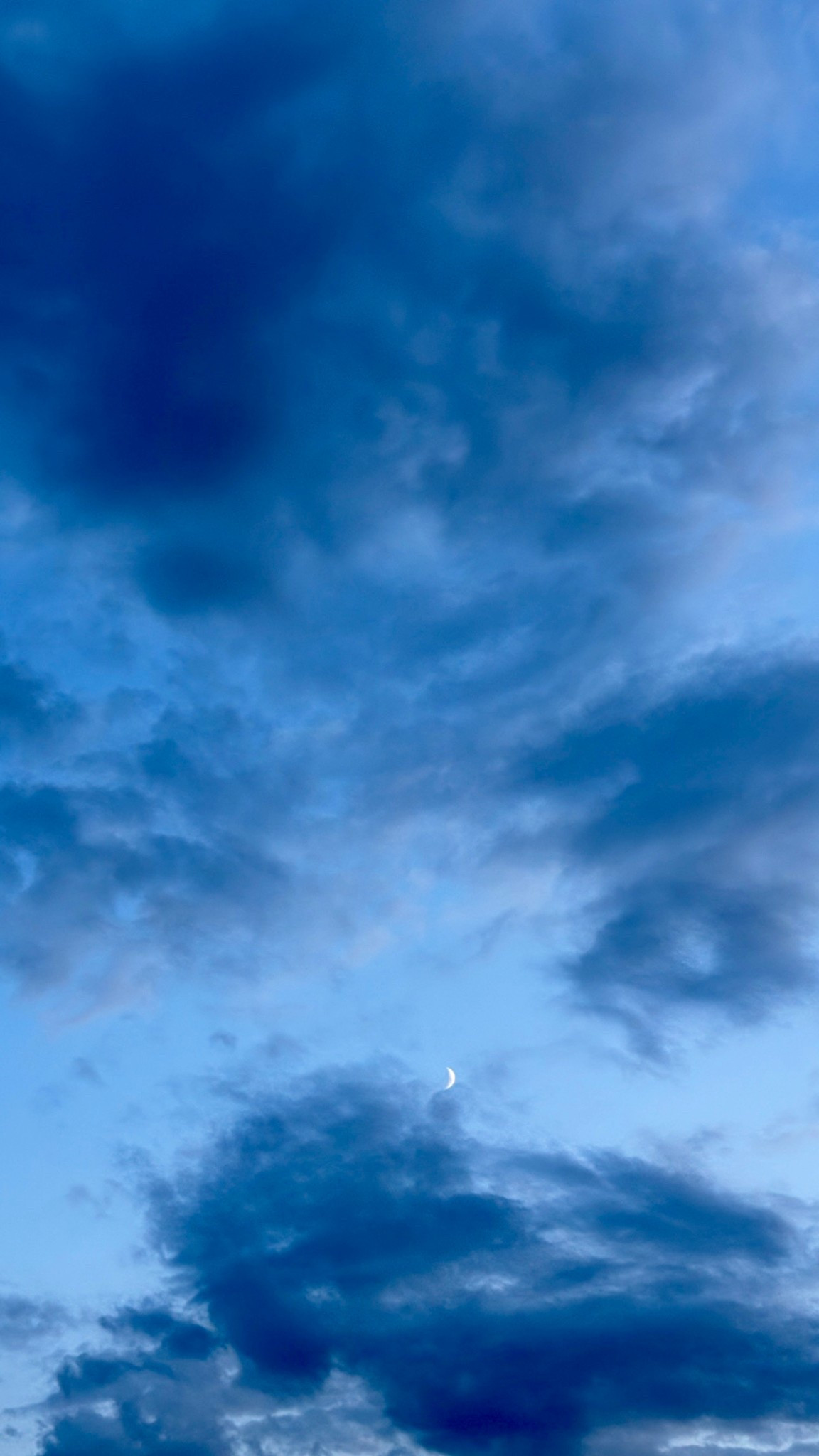 My favorite house & casual shoes for cooler weather.