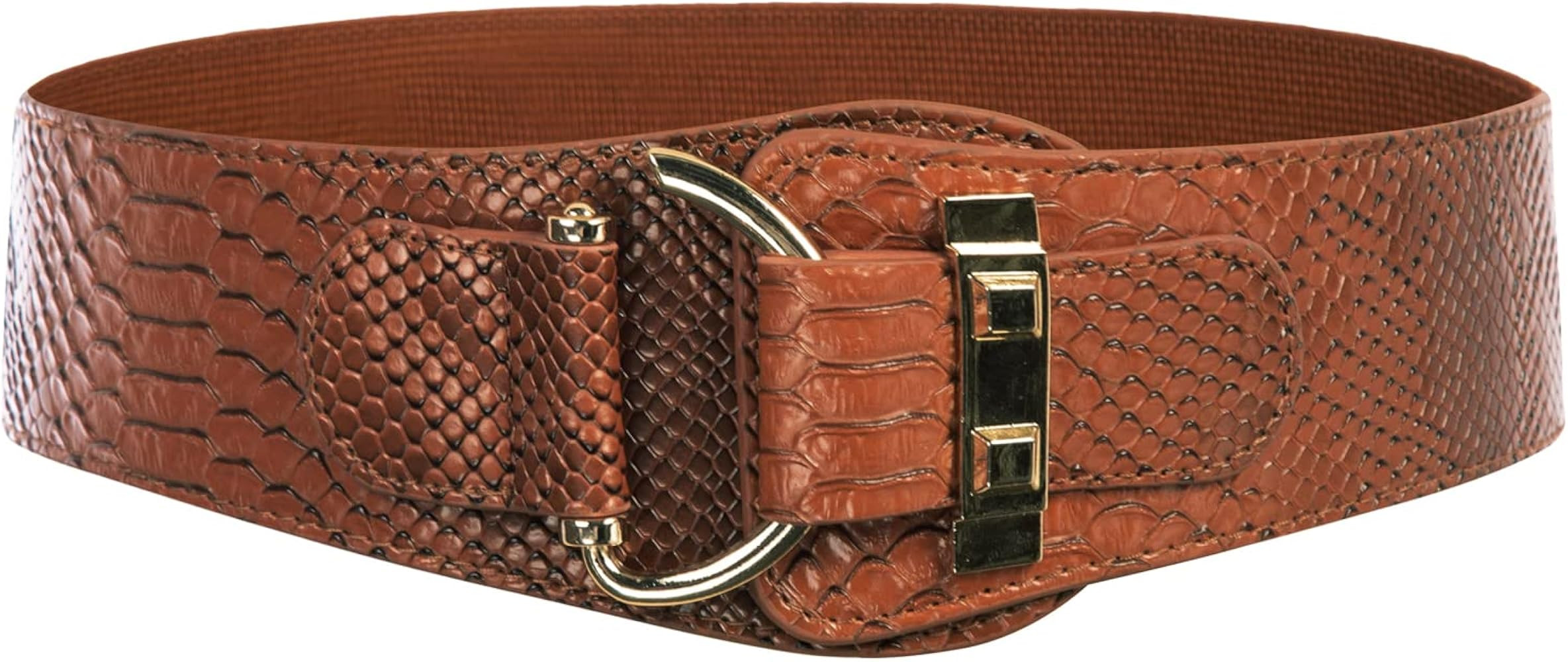 Scarlet Darkness Women's Wide Belt Vintage Elastic Waist Cinch Belt with Interlock Buckle | Amazon (US)
