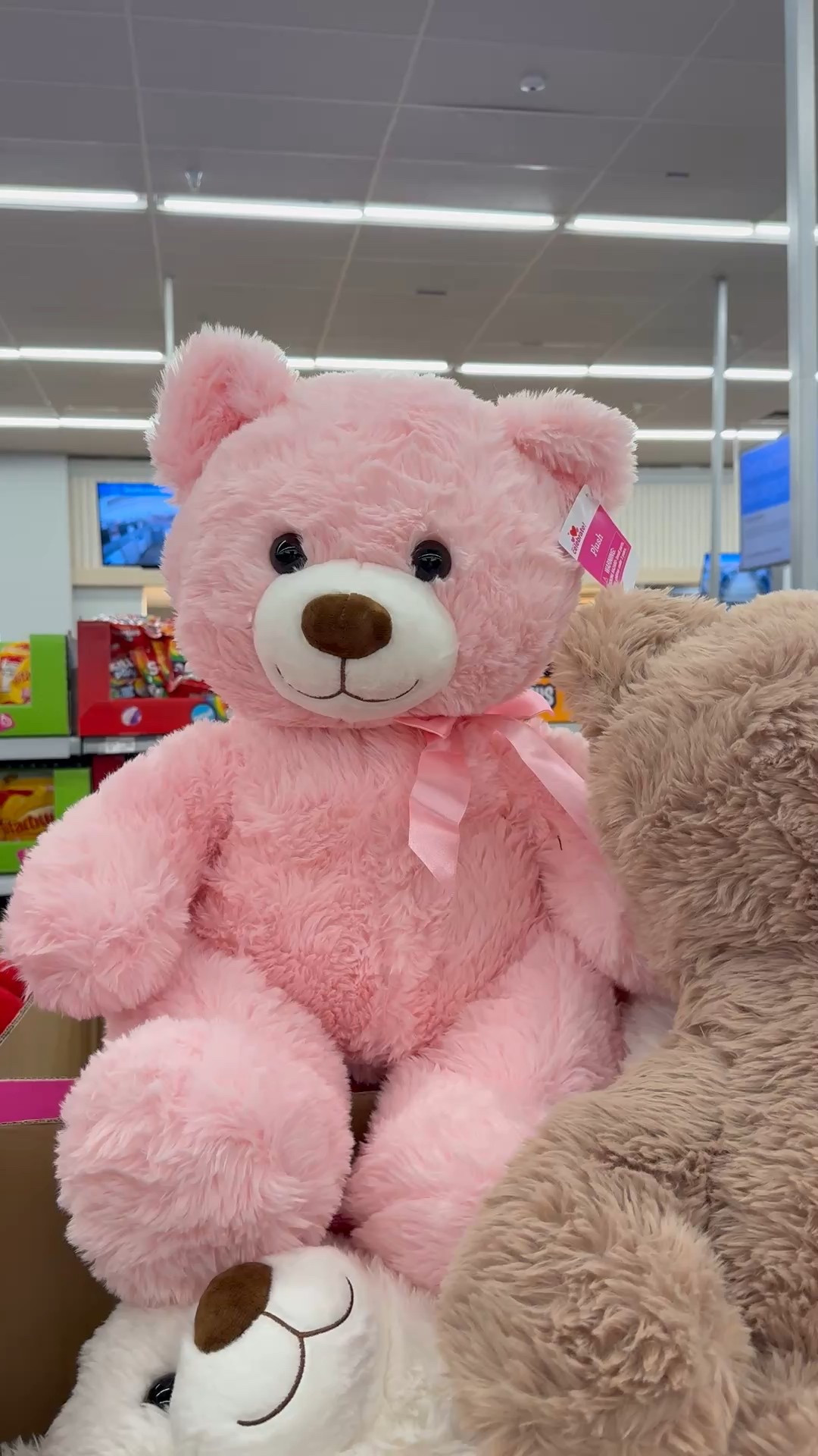 More Valentine’s Day teddy bear 💕 available in different colors. Daughter’s Valentine’s Day gift 

#LTKValentine #LTKKids #LTKmomlife