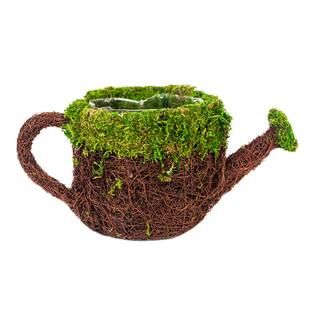 Form Moss Water Can by Ashland® | Michaels Stores