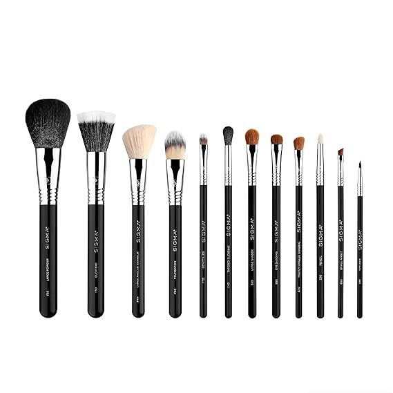 Sigma Beauty Essential Kit Set of 12 Brushes CK001 | Amazon (US)