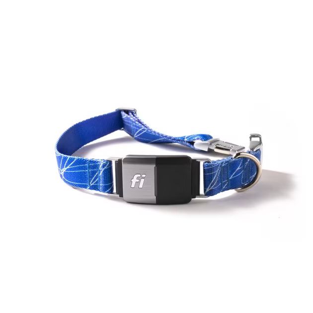 Fi Series 2 GPS Tracker Smart Dog Collar | Chewy.com