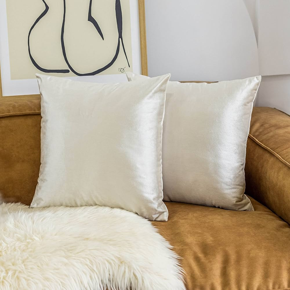 Home Brilliant Velvet Square Throw Pillow Covers Large Cushion Covers Euro Shams for Bedding Nurs... | Amazon (US)