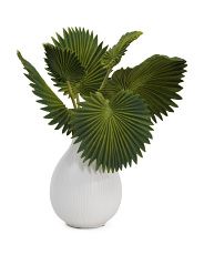 14in Palm Leaf In Pot | Marshalls