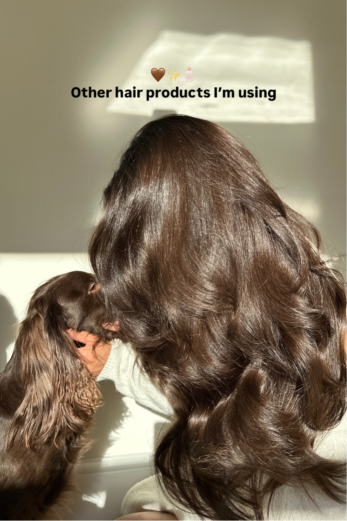 Here are a few hair products I currently use religiously! 

#LTKbeauty