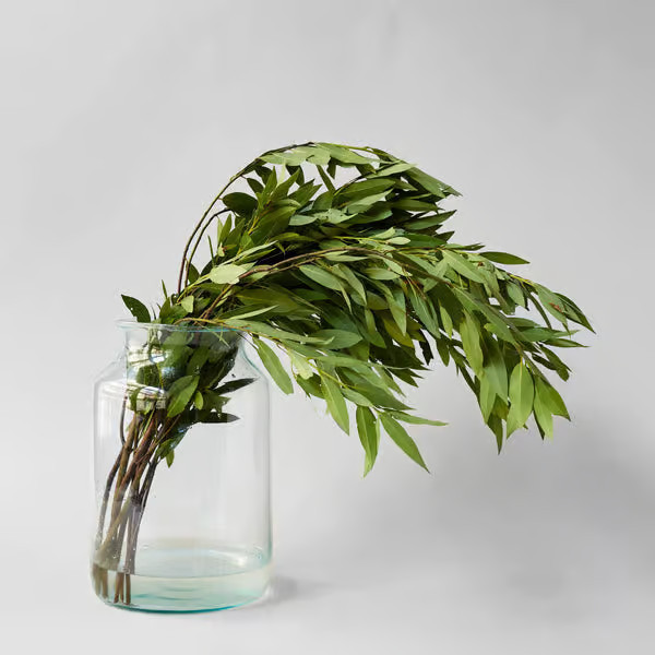 European Recycled Glass Jar | Bloomist