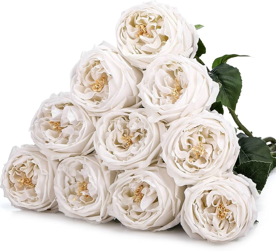 10pcs Real Touch Peonies Artificial Flowers, Faux Austin Rose with Long Stem Look Real Fake Flowe... | Amazon (US)