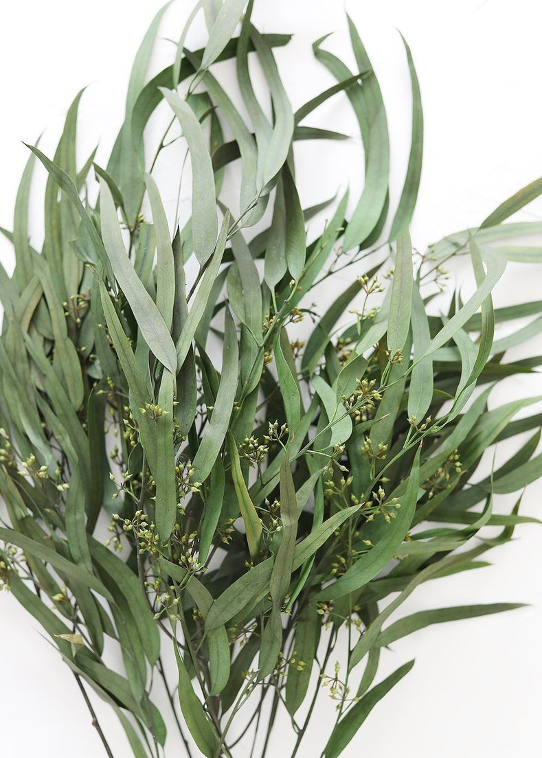 Preserved Weeping Willow Seeded Eucalyptus - 24-28" Tall | Afloral (US)